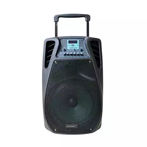 Temeisheng SL 12-02 Trolley Speaker