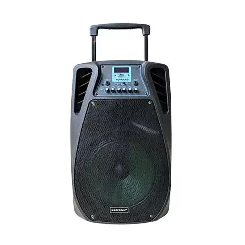 Temeisheng SL 12-02 Trolley Speaker