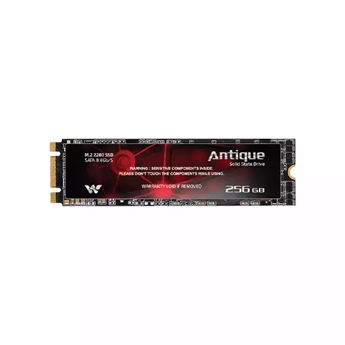 Walton ANTIQUE 256GB SATA III M.2 2280 SSD