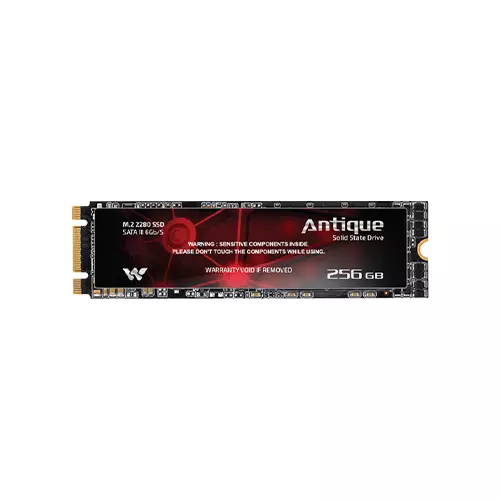 Walton ANTIQUE 256GB SATA III M.2 2280 SSD