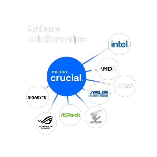 Crucial Pro CP32G56C46U5 DDR5 5600MHz UDIMM 32GB Desktop RAM - 1
