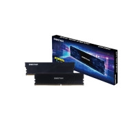 Biostar Storming V 8GB DDR4 CL16 3200MHz Desktop RAM