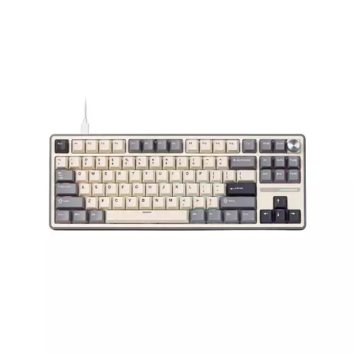 RK Royal Kludge R87 PRO TKL Hot Swappable RGB Wired Gaming Keyboard - Half Grey