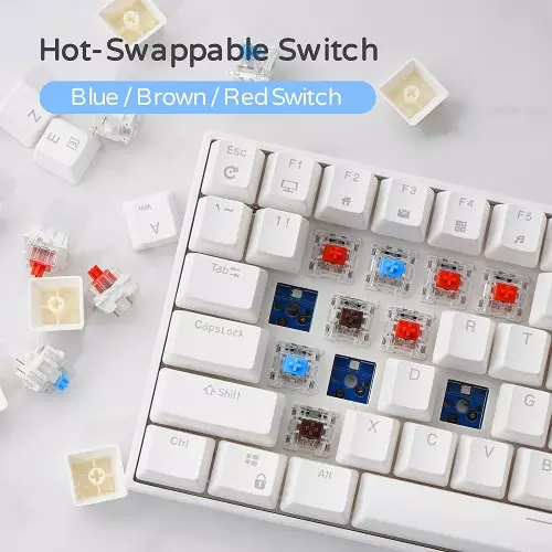 RK ROYAL KLUDGE RK100 Wireless Tri-Mode Mechanical Keyboard (Blue Switch)-4