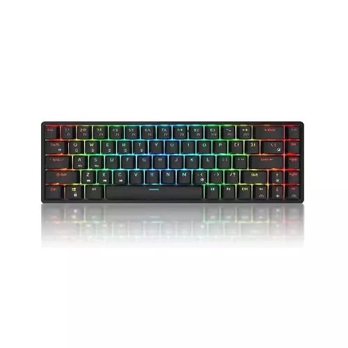 RK ROYAL KLUDGE RKG68 Wireless Mechanical Keyboard (Brown Switch)