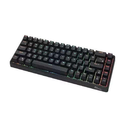 RK ROYAL KLUDGE RKG68 Wireless Mechanical Keyboard (Brown Switch)-1