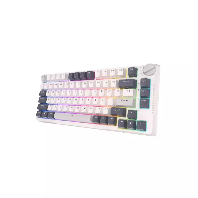 ROYAL KLUDGE RK H81 TRI MODE RGB HOT SWAP MECHANICAL KEYBOARD - White  - 1