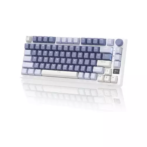 ROYAL KLUDGE RK M75 GASKET MOUNTED TRI-MODE MECHANICAL KEYBOARD (Ocean Blue)