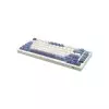Royal Kludge RK M75 Tri Mode RGB Silver Switch Mechanical Gaming Keyboard (Taro Milk)-2