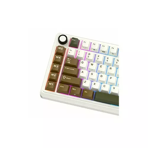 ROYAL KLUDGE RK L75 Hot Swappable Tri Mode Mechanical Gaming Keyboard (Palm Green)-1