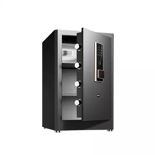 Deli-ET597 Fingerprint Password Safe Box
