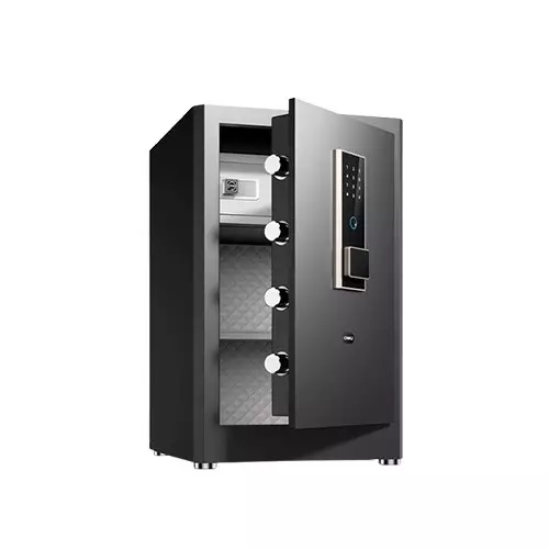 Deli-ET597 Fingerprint Password Safe Box