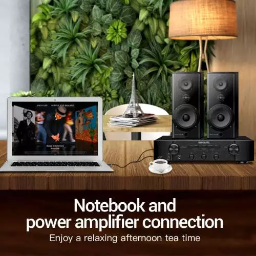 Vention BACBI 3.5mm Male to 2x6.3mm Male Audio Converter Cable 3.0M - 1