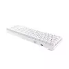 DAREU EK871 GTR HOTSWAPPABLE WIRELESS MECHANICAL KEYBOARD (BROWN SWITCH)-2