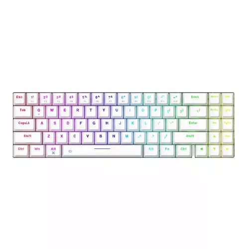 DAREU EK871 GTR HOTSWAPPABLE WIRELESS MECHANICAL KEYBOARD WHITE (BLUE SWITCH)