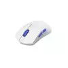 DAREU A950 Air PAW3395 1KHz Wireless USB Gaming Mouse-3