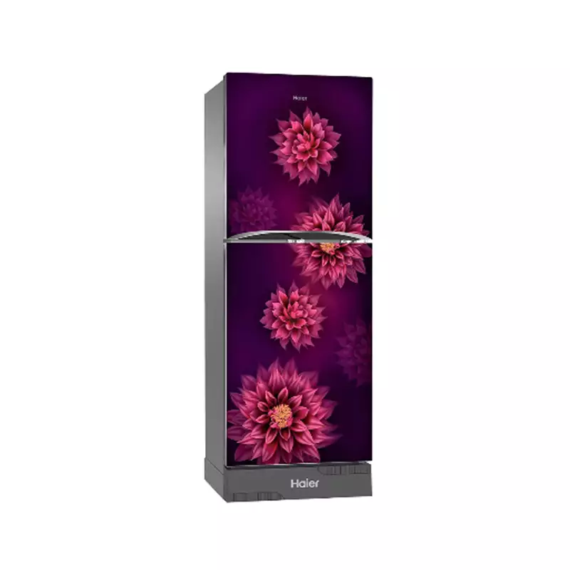 HAIER HRF-275EPDA 255L BOTTOM MOUNT REFRIGERATOR - 1