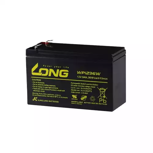 LONG 12V 9AH Battery