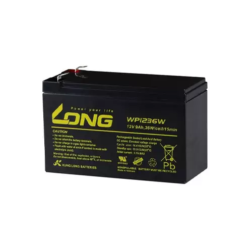 LONG 12V 9AH Battery