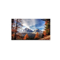 UNIVIEW MW3265-F 65 Inches 60Hz UHD DLED Monitor