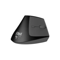AJAZZ i300 Dual Mode Wireless Ergonomic Mouse (Black) - TechLand BD Flash Sale