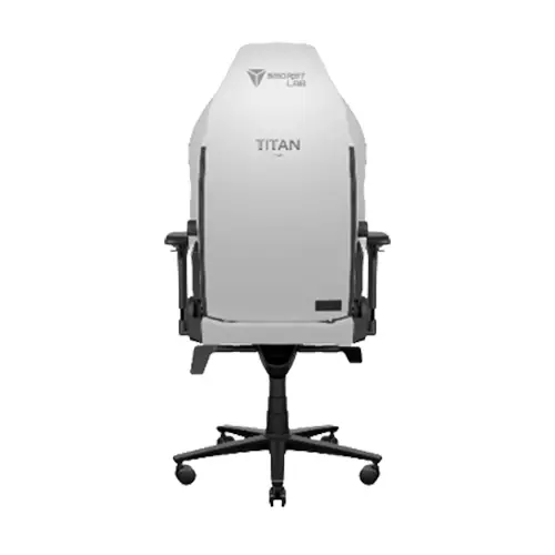 Secretlab TITAN Evo 2022 Series NEO Hybrid Leatherette Gaming Chair (Ash) - 2