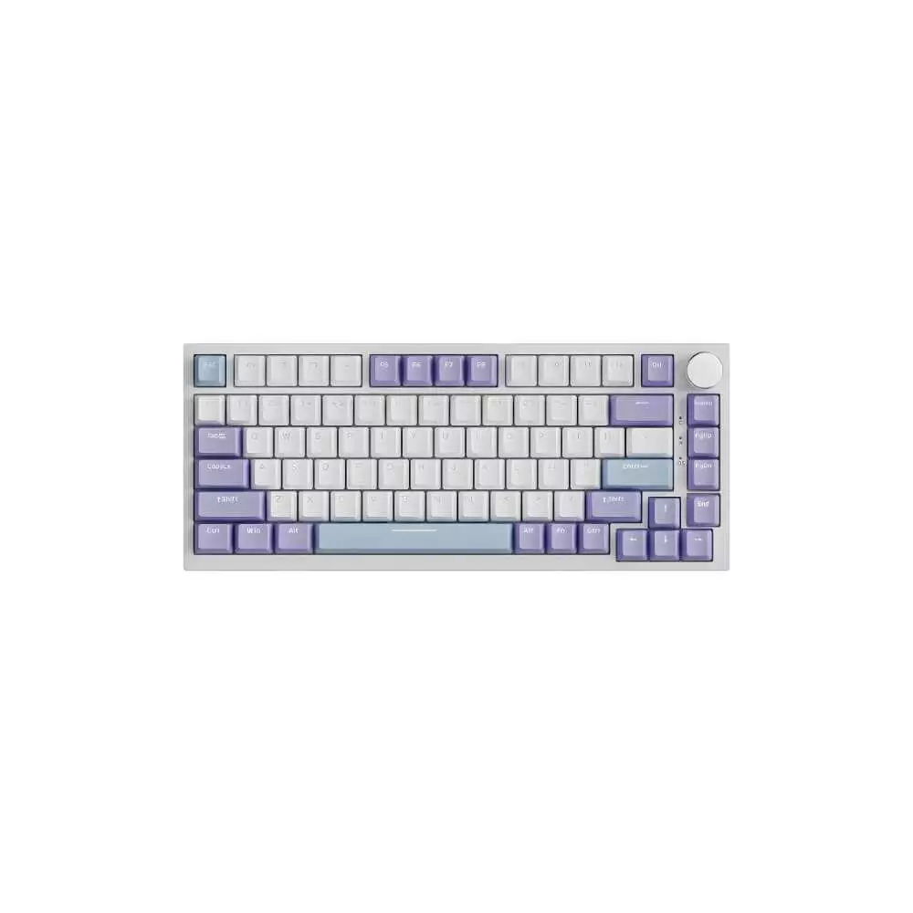 Ajazz AK820 75% Gasket-mounted Wired Mechanical Keyboard - Purple White (Sea Salt Switch)