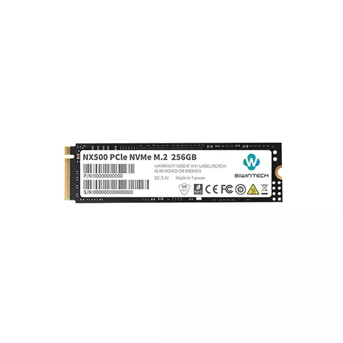 BIWINTECH NX500 256GB PCIE M.2 NVME SSD-gallery-1