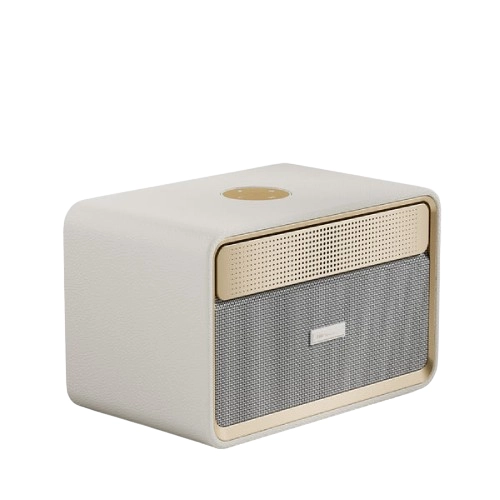 Hifuture Passion X 100W Wireless Bluetooth Speaker (Gold)
