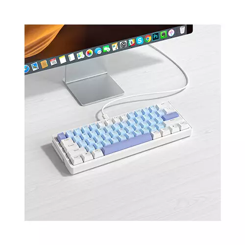 Zifriend AG61 Gasket Side RGB Yellow Switch streamer Mechanical Keyboard (Blue&White&Purple)-gallery-1