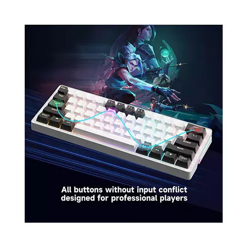 Zifriend AG61 Gasket Side RGB Yellow Switch streamer Mechanical Keyboard (Blue&White&Purple)-gallery-2