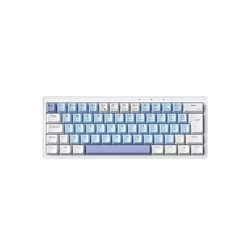 Zifriend AG61 Gasket Side RGB Yellow Switch streamer Mechanical Keyboard (Blue&White&Purple)