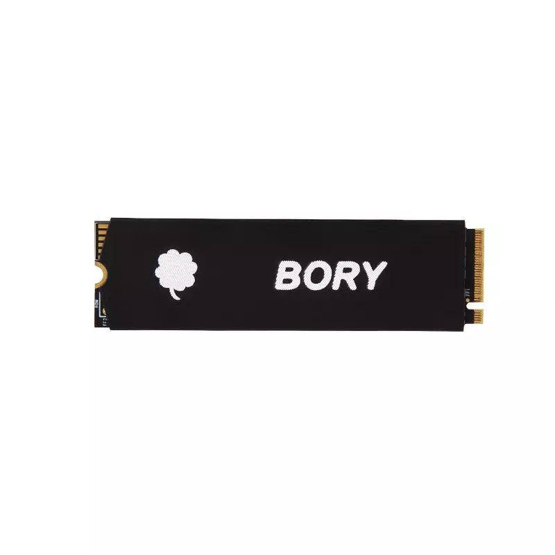 BORY NV890 MII 256GB PCIE GEN 3 NVME (32GBS) 2280 SSD-gallery-1