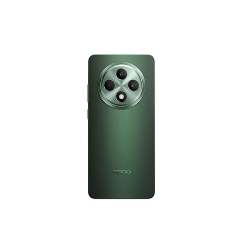 OPPO Reno 12F 5G 12GB RAM 256GB ROM 6.67 inches Smartphone (Olive Green) - 2
