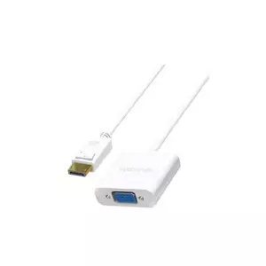 Yuanxin YDP-013 DisplayPort to VGA Male to Female Converter