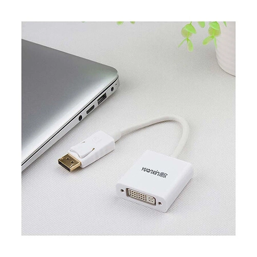 Yuanxin YDP-015 DisplayPort Male to DVI Female Converter - 2