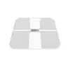 Teton TSSHW01 Wi-Fi & Bluetooth Smart Scale-1