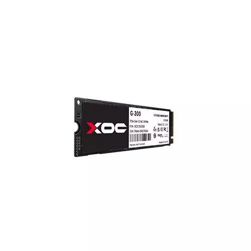 XOC G300 256GB PCIe 3.0 NVMe SSD-2
