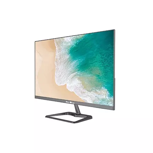 BlackCat C22i100G 21.5 Inch Full HD 100Hz Frameless LED Monitor-gallery-1