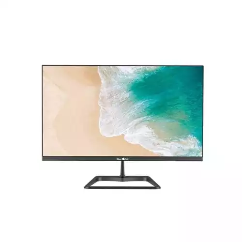 BlackCat C22i100G 21.5 Inch Full HD 100Hz Frameless LED Monitor