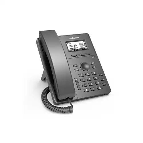 FLYINGVOICE P10P Entry level IP Phone