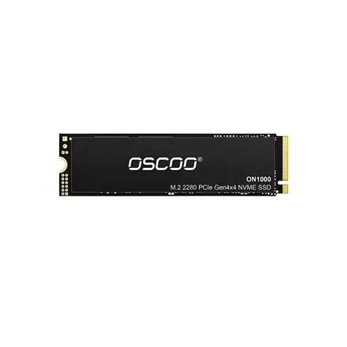Oscoo ON1000 256GB M.2 2280 NVMe PCIe Gen4x4 Internal SSD