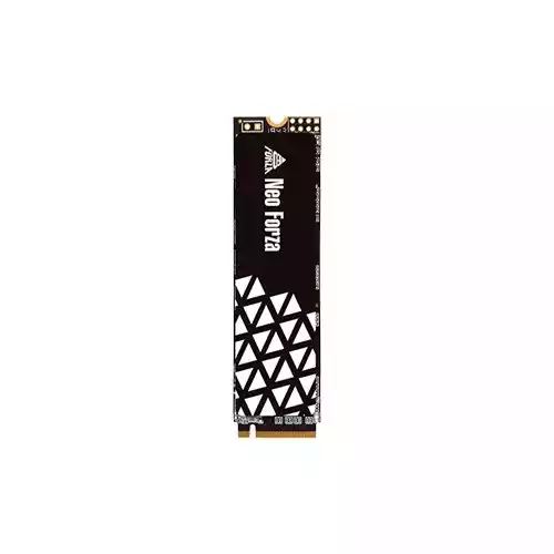 NEO FORZA NFP045 1TB M.2 2280 INTERNAL SSD