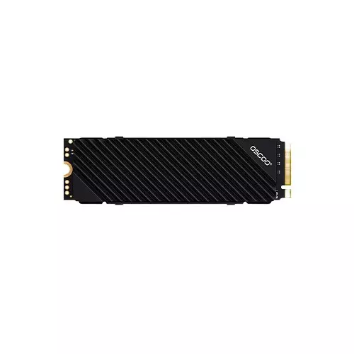 OSCOO ON1000PRO 1TB Gen4 M.2 NVME PCIE DRAM SSD