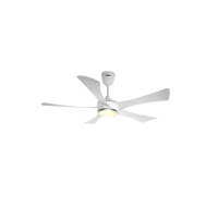 Qulik Falcon UL 53-inch Decorative BLDC Ceiling Fan with Light