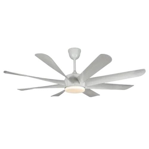 Qulik Helix UL 60 Inch Silent Ceiling Fan With Light and Remote (White Wood)