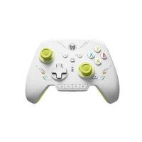 BIGBIGWON Rainbow 2 SE Gaming Controller (Green)