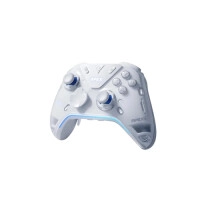 FLYDIGI APEX 5 Wireless PC Game Controller