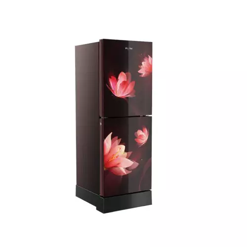 Whirlpool Fresh Magic Pro 278L Florina Red Refrigerator-gallery-2