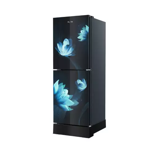 Whirlpool Fresh Magic Pro 278L GD Florina Blue Refrigerator-gallery-2